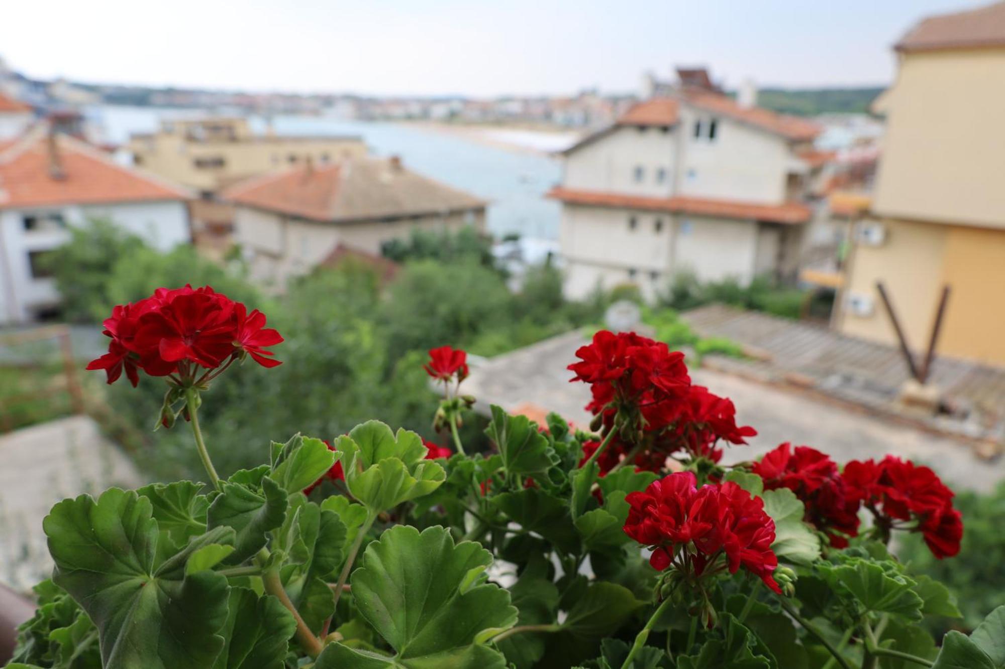 Kalina Guest Rooms Sozopol Exterior foto